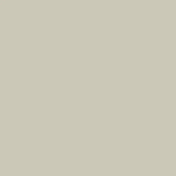 Dartford's Nitrocellulose Guitar Paint, 400ml Aerosol - Image 2